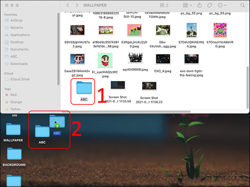 Chọn replace thư mục